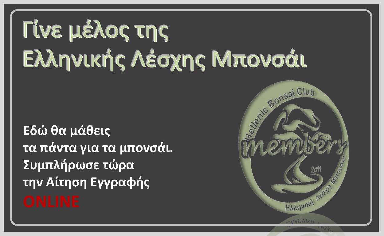 Γίνε μέλος της Ελληνικής Λέσχης Μπονσάι
