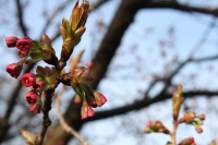 Ανοιξιάτικο Εργαστήριο 2014