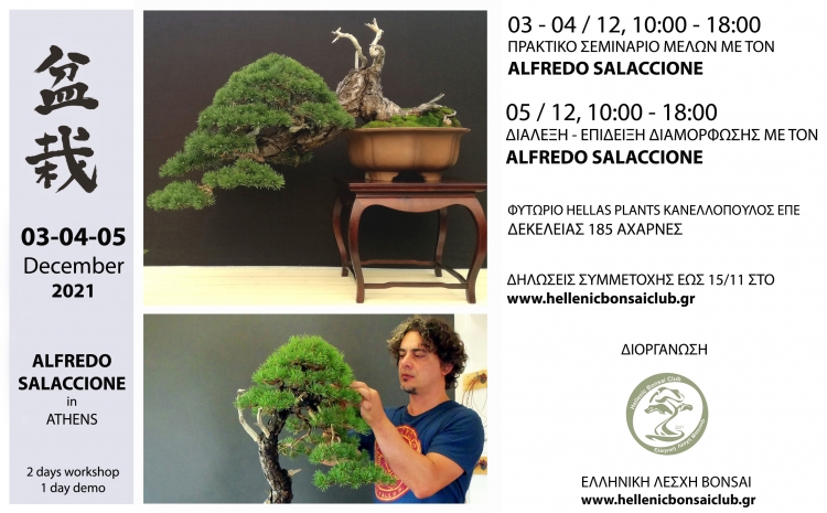 Alfredo Salaccione 03-04-05 Δεκεμβρίου 2021