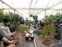 Στιγμές από το χειμωνιάτικο εργαστήριο 2014