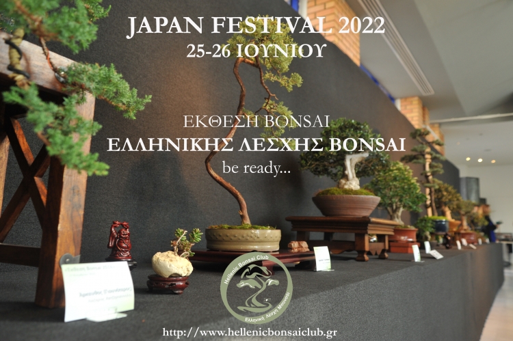Japan Festival 2022