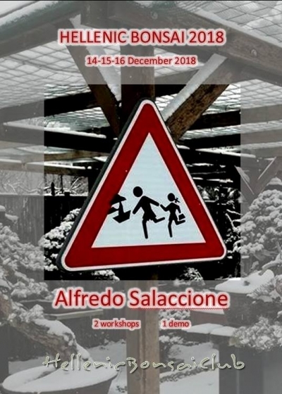 Alfredo Salaccione 14-15-16 Δεκεμβρίου 2018