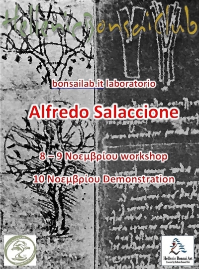 Alfredo Salaccione 08-09-10 Νοεμβρίου 2019